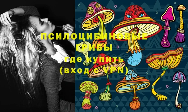 стаф Михайлов