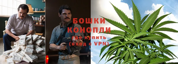 герыч Мегион