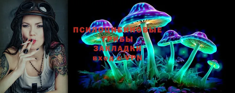 Псилоцибиновые грибы Magic Shrooms  Микунь 