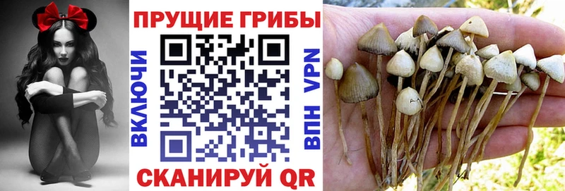 Псилоцибиновые грибы прущие грибы  хочу наркоту  Микунь 