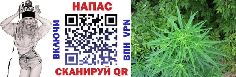 Бошки Шишки конопля  Микунь 